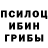 Псилоцибиновые грибы Psilocybine cubensis Lindsay Cassey