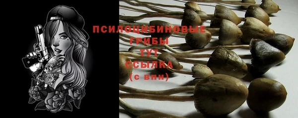 mdpv Галич