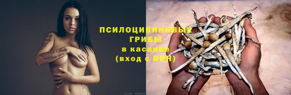 прущая мука Протвино