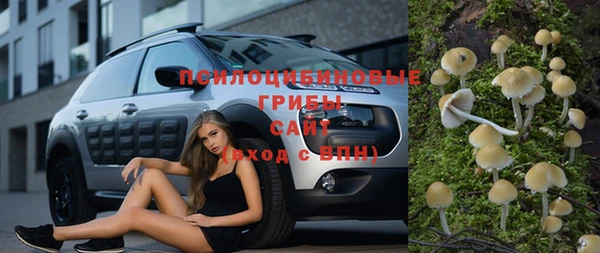 mdpv Галич